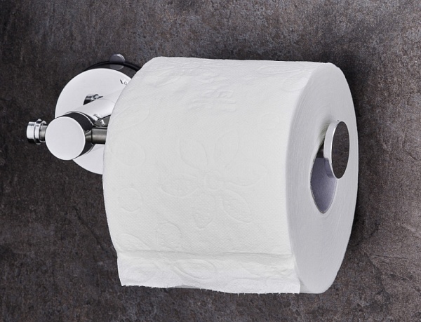 Держатель для туалетной бумаги 178 мм Ridder