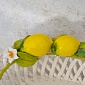 Блюдо овальное 34 см Orgia Лимоны