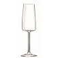 Набор бокалов для шампанского 300 мл RCR Essential 6 шт