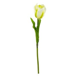 Тюльпан декоративный 41 см Азалия белый