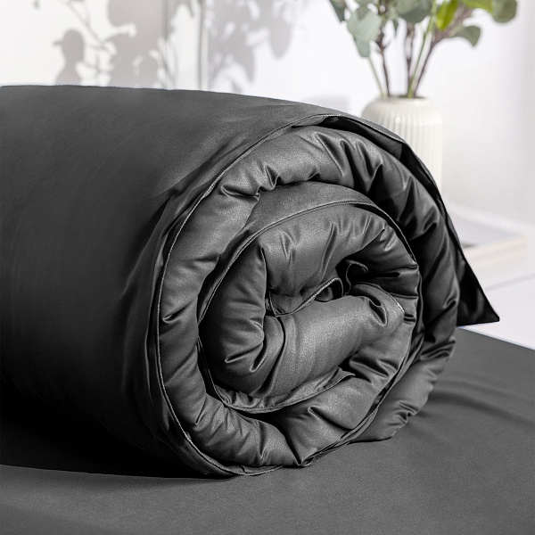 Комплект постельного белья семейный Soft Silver, серый космос