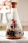 Террариум Suck UK Chemistry