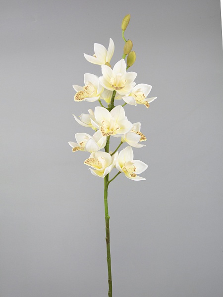 Орхидея Цимбидиум декоративная 75 см Азалия белый