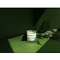 Свеча ароматическая 40 ч Ambientair Enchanted Forest Белый жасмин