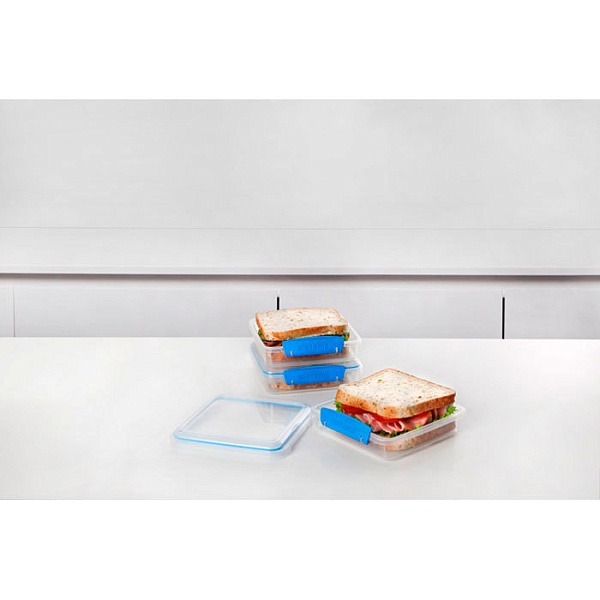 Набор контейнеров для сэндвичей 3 шт. 450 мл Sistema Fresh
