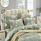 Комплект постельного белья полутораспальный Sofi de Marko Клотильда сатин