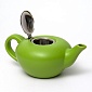 Чайник заварочный с фильтром 1 л Elrington Феличита зелёный