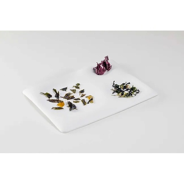 Менажница 25 х 20 см Cookplay The Tablet 