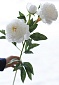 Искусственный цветок Пион 76 см MayBlummy белый
