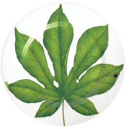 Блюдо для сервировки 31,5 см Taitu Freedom Leaf
