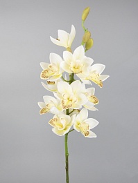 Орхидея Цимбидиум декоративная 75 см Азалия белый