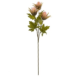 Эрингиум декоративный 67 см Азалия розовый