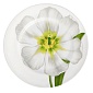 Тарелка обеденная 27 см Taitu Freedom Flower белая