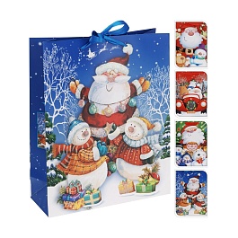 Пакет подарочный 24x18x10см