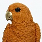 Статуэтка Kersten BV Royal Animals Parrot оранжевый