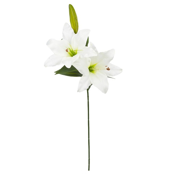 Лилия декоративная 66 см Азалия белый